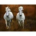 More tips on Bobby Bare Bobby Goodrich 'Carmagne In The Reeds' Gallery-wrapped Canvas Art