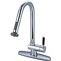 Kaiser Single-handle Pull-out Chrome Kitchen Faucet