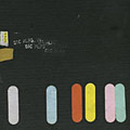 Sic Alps - Napa Asylum *