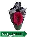 Bow Clippeez 2 Envy Baby Crochet Hat and Flower Gift Set