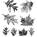 Tim Holtz Falling Leaves Cling Rubber Stamp Set