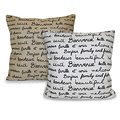 French Words Decorative Pillow