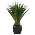 Laura Ashley 43-inch Artificial Aloe Plant