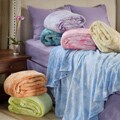 Horizons Coral Fleece Full/ Queen-size Blanket