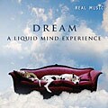 Dream: A Liquid Mind Experience