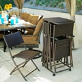 Folding Chairs and Cart (Set of 6)
