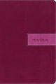 Holy Bible (Hardcover)