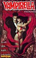Vampirella Masters Series Vol. 4 (Paperback)