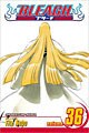 Bleach 36 (Paperback)