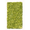 T-shirt Cotton Lime Shag Rug (4'7 x 7')