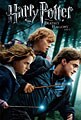 Harry Potter and the Deathly Hallows: Part I (DVD)