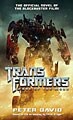 Transformers: Dark of the Moon Novel (Paperback)