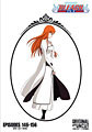 Bleach: Box Set 9 (DVD)
