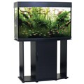 North Star Collection Bow Front 58 Gallon Aquarium and Stand
