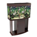 North Star Bow Front 58-gallon Aquarium and Stand