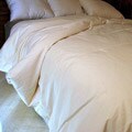 All Season Organic Pure Grow Wool Twin-size Comforter