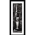 George Lambros 'Cascading Falls' Framed Print