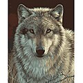 Paint By Number 'Grey Wolf' Kit 
