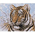 Paint By Number 'Siberian Tiger' Kit