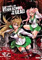 High School of the Dead: Complete Collection (DVD)