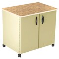 Mobile Steel Exterior Utility Cabinet