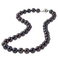 Sterling Silver Blue/Black Freshwater Pearl Necklace (9.5-10.5 mm)