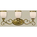 South Haven 3-light Brass Vanity Strip