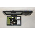 Performance Teknique 7-inch TFT Sun Visor Flip-Down/ Swivel Monitor