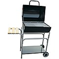 Ragalta 23x15-in Family Charcoal Grill