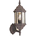 Transitional 1-light Weathered Bronze Outdoor Wall Light