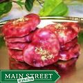 Oma Gisi's Raspberry Glazed Butter Cookies (Box of 24)