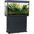Delta Queen 58-gallon Rectangular Aquarium and Stand
