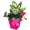 Mother's Day Pretty And Pink Tropical Planter
