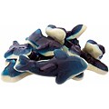 Gummy Blue Sharks
