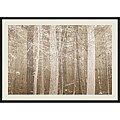 Pela + Silverman 'Forest Mist' Framed Print Art