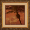Pela + Silverman 'Caribbean Sun II' Framed Print Art