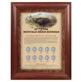 American Coin Treasures Framed Buffalo Nickels