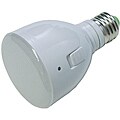 Magic Bulb 4-watt 50 LED Lightbulb/ Flashlight
