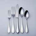 Spode Image 45-piece Flatware Set
