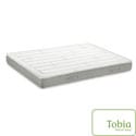 Spaldin Innovation Eco-Superior Firm Tight-top 8-inch Twin-size Foam Mattress