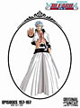 Bleach Uncut Box Set, Vol. 10 (DVD)