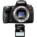 Sony Alpha 33 DSLR Camera with Sony 16GB SDHC Card