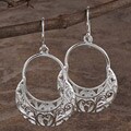 Sterling Silver Nature Evolution Earrings (Israel)