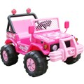 T13692347 A Womans Bike in Pink