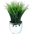 Laura Ashley Grass in Designer Silver Ceramic Container (Set of 2)