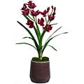 Laura Ashley Red Orchid in Ceramic Container