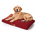 Samara Red Dog Bed