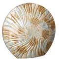 Large Shell Vase