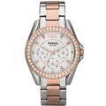 Fossil Women's 'Riley' Rose and Silvertone Stainless Steel Watch