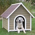 Nantucket Dog House (L)